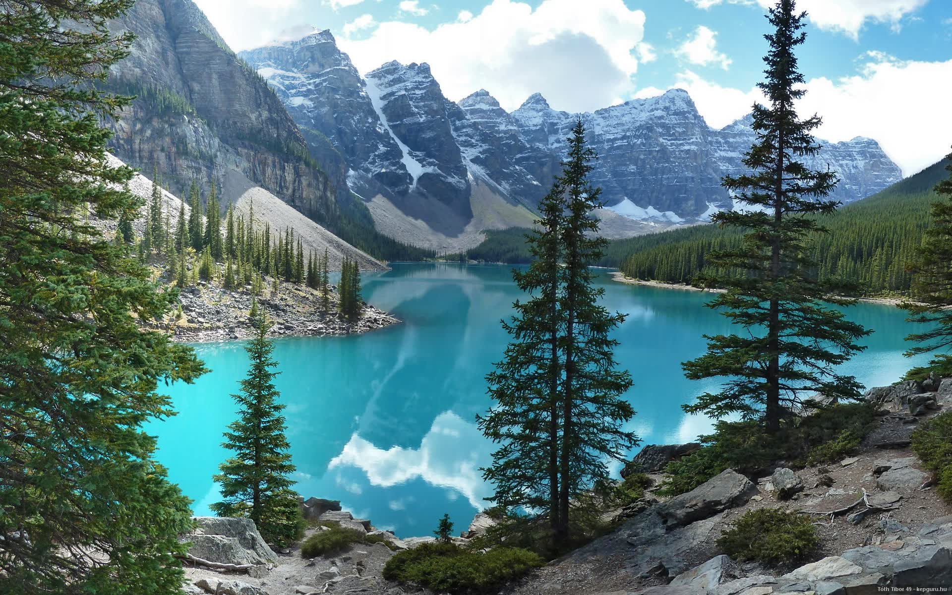 世界短道速滑科研训练模型应用示范教材第三版修订完成，2020年世界短道速滑比赛视频
